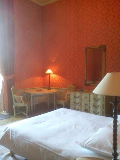 Chateau Du Marechal De Saxe イエール 部屋 写真